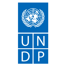 undp@3x.png